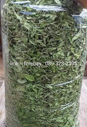 ٻҾ2 ͧԹ : ˭ҹ  ˭ҹ ˭ҹ  089-323-2395