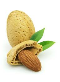 ٻҾ2 ͧԹ : ѹշ͹ԹSweet Almond Oil (Prunus dulcis) 