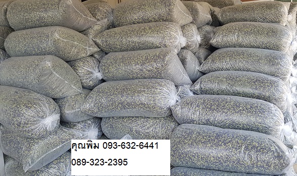 ٻҾ2 ͧԹ : ѭѹ (Butterfly Pea)100 % ѭѹ 089-323-2395