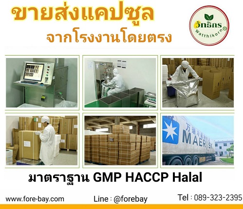 ٻҾ3 ͧԹ :  ᤻  0  + Capsule 089-323-2395 ᤻  ᤻ Ѻ᤻ͧ ᤻