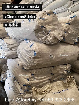 ٻҾ3 ͧԹ : ͺ (Cinnamon) »ա 185 ҷ ͺ¡ҹ 380 / Ҥͺ 093-632-6441