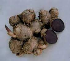 ٻҾ4 ͧԹ : 觡Ъ´ͺ Black Galingale , Ъ´, Ъ´ͺẺ 093-632-6441