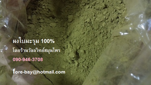 觼 Moringa Leaf Powder 辣木叶粉 100% ҡ ԹҾ繵ѹ ͺ 094-289-4246