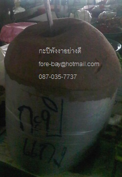 »ա觡лᡧ лԷӹӾԡ л ҡозͧ ѧ   Pim 087-035-7737